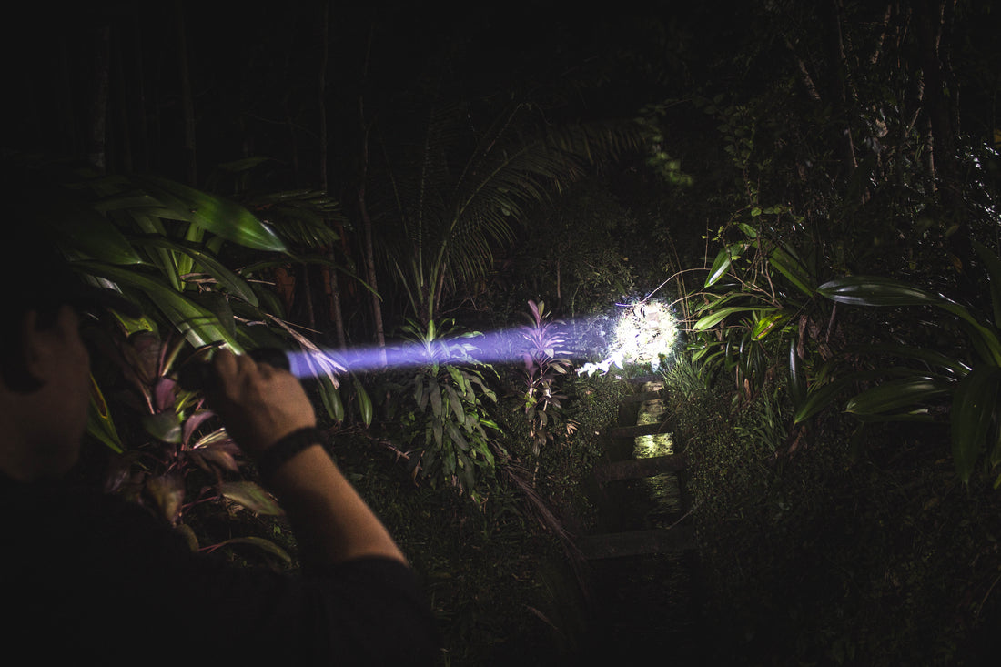 Flashlight Beam Distance Explained: Candela vs Lumens, ANSI Throw, and Real-World Range