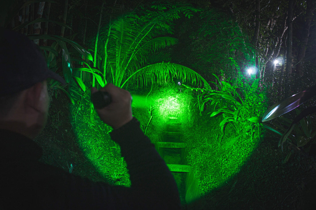 SPERAS Green Flashlight Filter