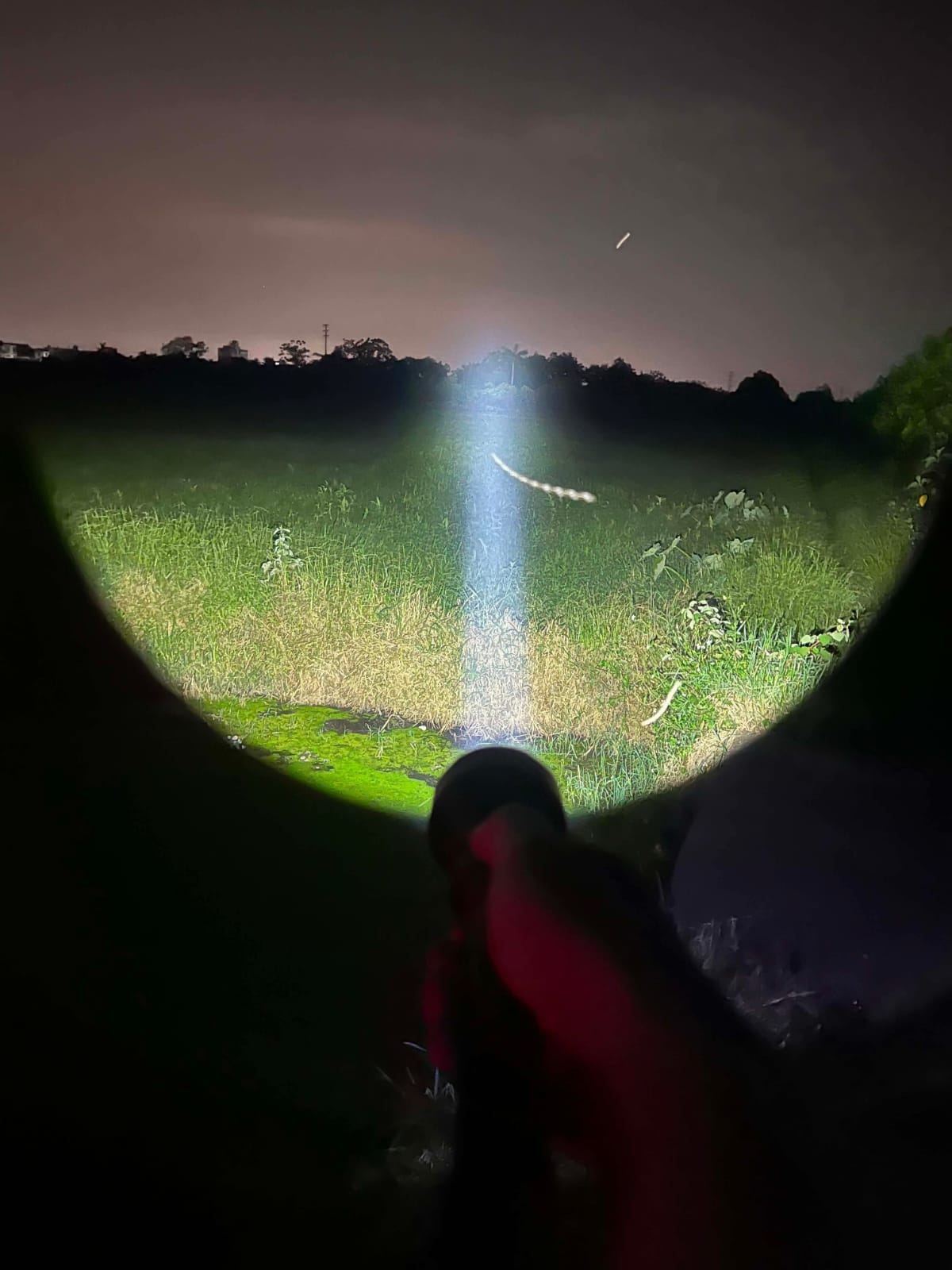 SPERAS T217 V3 3000lm high lumen hunting torch illuminating a grassy field for night tracking